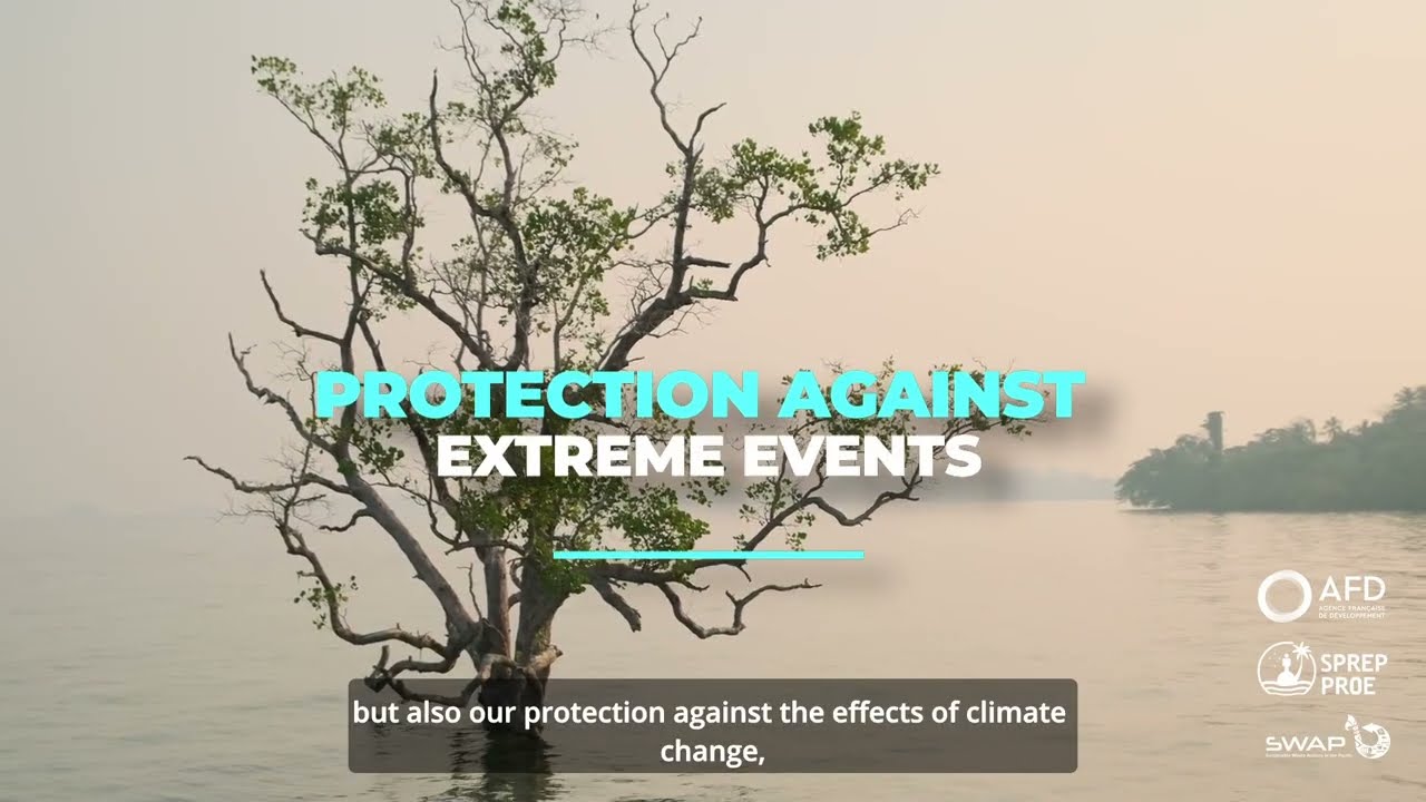 /sustainable-waste-actions-in-the-pacific-%28swap%29-teaser-video.jpg